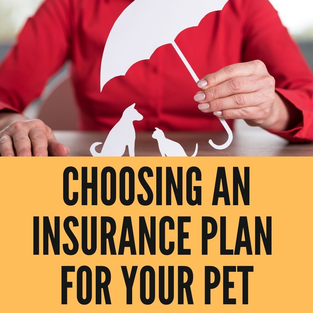 How to Choose the Right PetsBest Insurance Plan for Your Pet