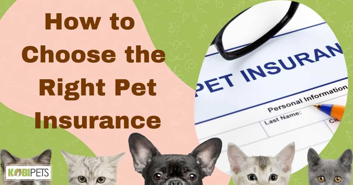 Insurance pet tips plan health infographic picking years