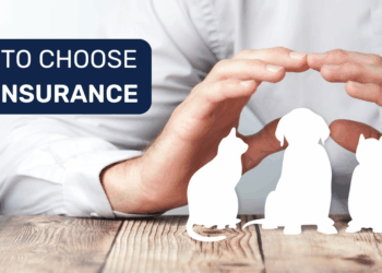 How to Choose the Right PetsBest Insurance Plan for Your Pet