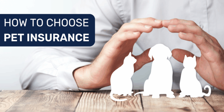 How to Choose the Right PetsBest Insurance Plan for Your Pet