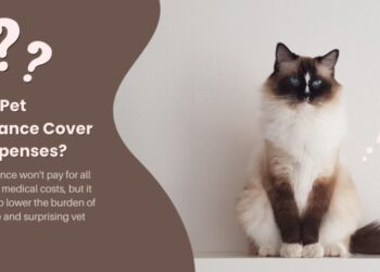 Pet insurance reviews